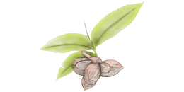 biotina biotina